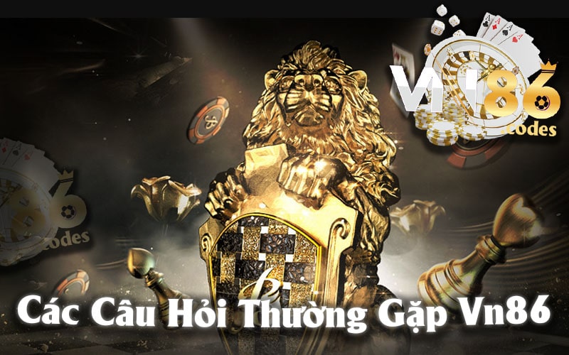 Các Câu Hỏi Thường Gặp Vn86